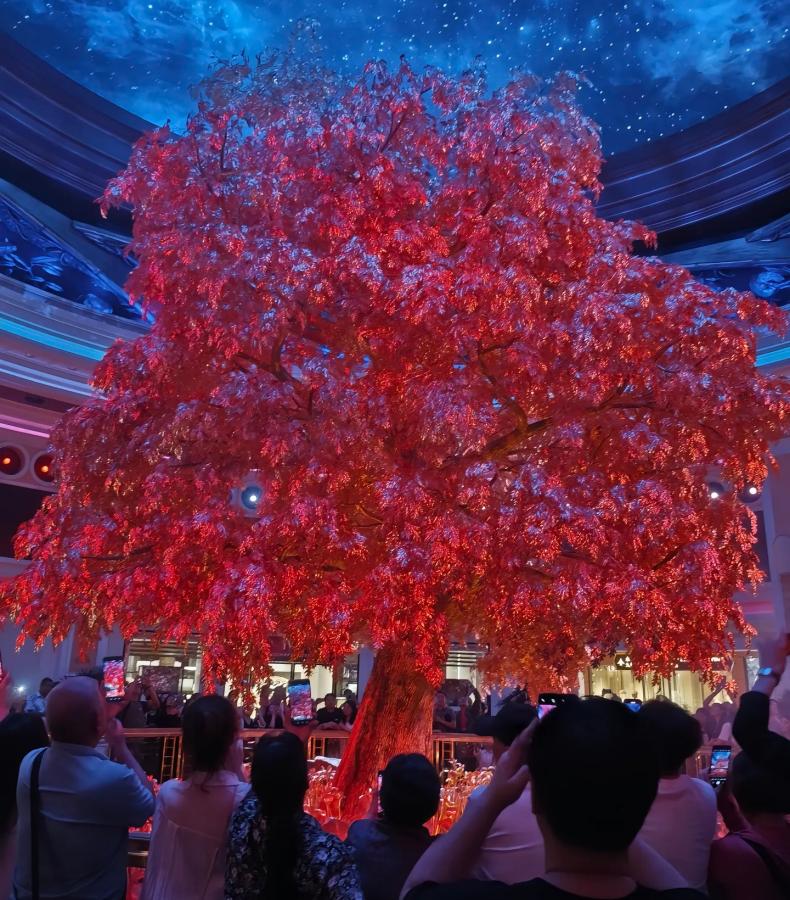 10945_1.jpg
